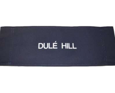 Psych - Lot 1161 - Autographed Dulé Hill Chairback