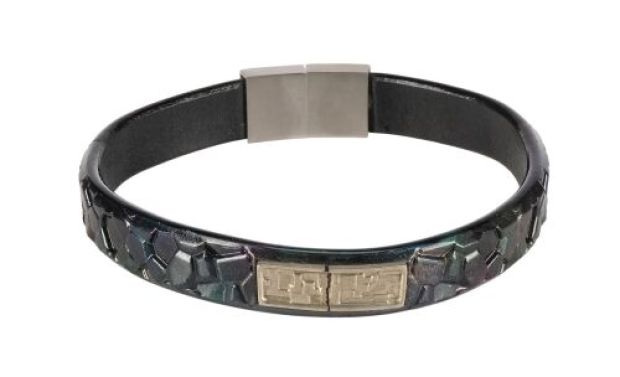 Star Trek: Discovery (Tv Series, 2017-2024) | Grudge’s (Leeu, Durban) Cat Collar | Propstore