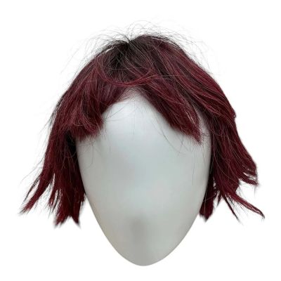 Lot 3: Mother Mary Mother Mary Dancer Screen Worn Short Dark Red Wig | VIP Fan Auctions