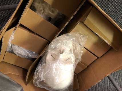 Box of 6 high quality human skull props from the popular sci-fi tv series | Direct Liquidation