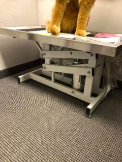Lot 291 - Hydaulic Pet Grooming Table from the Vet Exam Room on Turner & Hooch