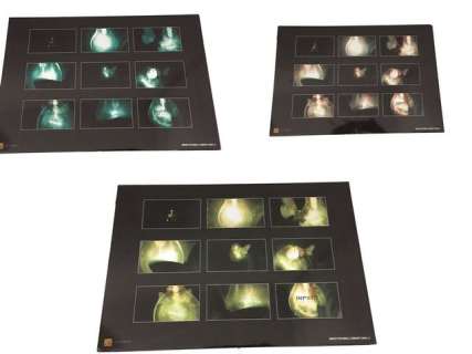 Impact Pictures Logo Concept Boards | Premiere Props