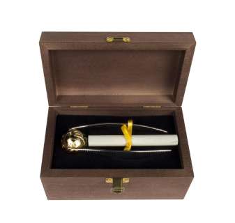 "Harry Potter" Golden Snitch Executive Gift. | Van Eaton Galleries