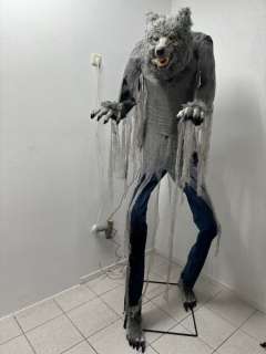 Weerwolf Animatronic - - Movie prop | Catawiki