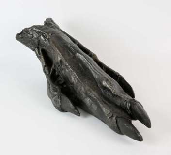 Alien Vs Predator (2004) Full screen used Xenomorph Alien Foot used during filming.42 cm long. | Ewbank’s