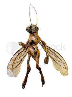 Lot 240 - Maleficent: Mistress of Evil "Dark Fey" Fairy Skeleton