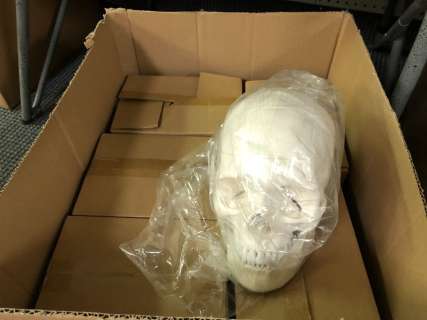 Box of 6 high quality human skull props from the popular sci-fi tv series | Direct Liquidation