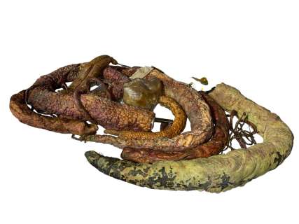 Lot 103 - Group of misc "Slither" props including - horns, tails, tentacles, etc...