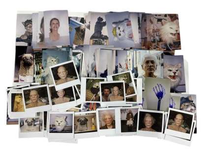 Lot 66 - Cats & Dogs (2001) - 266 SFX Continuity Shots