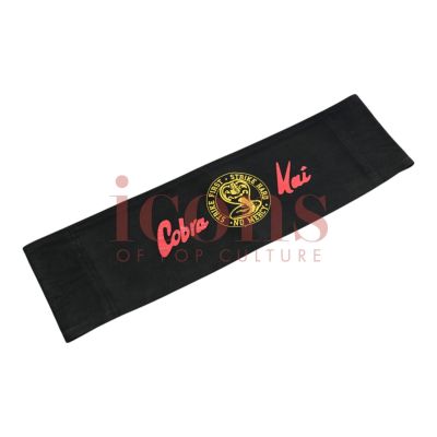 Lot 33 - Cobra Kai (TV) - Production Used Chair Back - 65-33 - ICN-000619 | Icons of Pop Culture