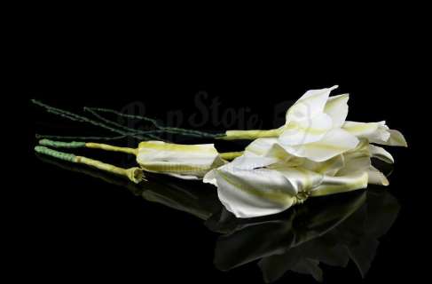 THE HAUNTING OF BLY MANOR - Lot 91 - Dani‘s Moon Flowers