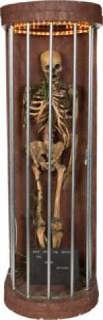 A Prop Skeleton from "The Mummy Returns." | Heritage