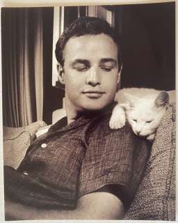 Inconnu - Films de Marlon Brando | Catawiki