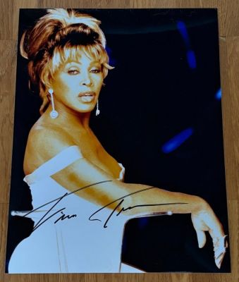Tina Turner - Titelsong GoldenEye 1995 | Catawiki