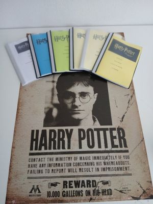 Script - J.K Rowling - Harry Potter Full screen play film scripts (6) + Movieposter (as used in the movie) - 2026 | Catawiki