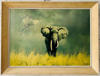 ONLY FOOLS & HORSES - DAVID SHEPHERD ’WISE OLD ELEPHANT’ DAVID JASON SIGNED PRINT | Auctioneum Ltd