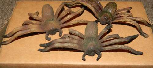 Arachnophobia Set of Three Prop Baby Bob Spiders | Piece of the Past