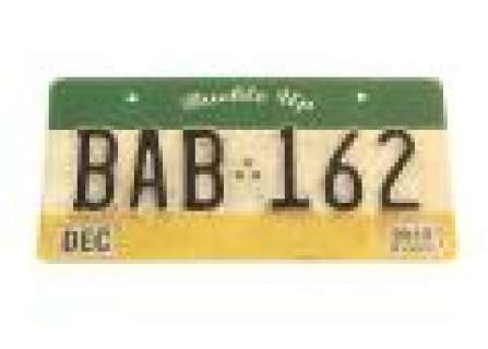 Under The Dome - Lot 4 - Barbie‘s License Plate