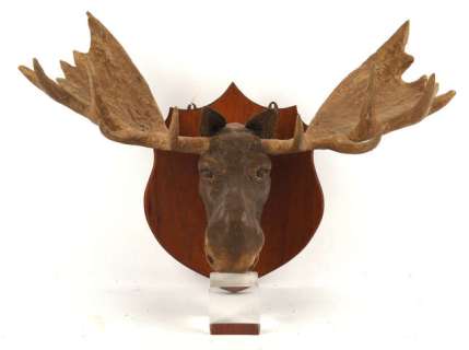 Gerry Anderson: The Secret Service (1969) - Original prop mounted resin moose head on wooden board,… | Ewbank’s