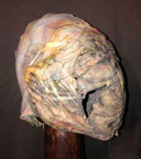 Lot 24 - Silent Hill - Nurse creature mask (0001)