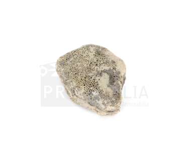 It - IT Losers Stunt Rock from the Derry Quarry (0073-M179)