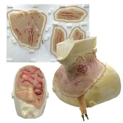 Lot 33: The Last Voyage of the Demeter Olgaren (Stefan Kapicic) Production Used Neck Prosthetic, 4 Arm Prosthetics & Forehead Prosthetic | VIP Fan Auctions