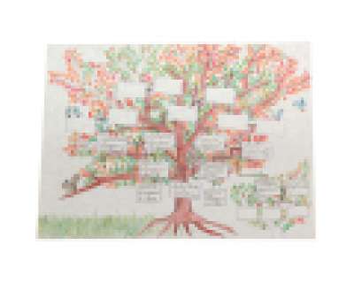 Mad Men - Lot 1350 - Sally‘s Family Tree