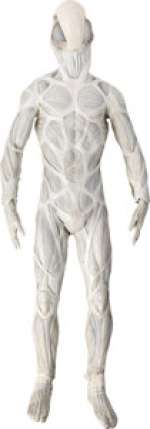 Westworld (HBO®Original 2016-2022) Drone Host Suit. (Total: 2 Items) | Heritage