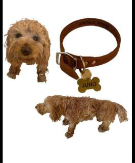 Bates Motel (2013-2017) - Norman Bates Stunt Dog Juno and Collar | Hanlin Auction Service