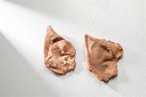 Spock Ear Tips From “Star Trek” | Studio Auctions