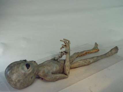 "X-FILES" Screen Used Life Size Foam Style Alien, Grey with Wireframe | Super Auctions