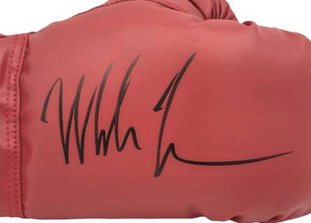 The Hangover - Mike Tyson - Signed Glove - With COA | Catawiki