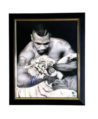 The Hangover - Mike Tyson Signed “Tiger” Portrait Photo – Luxury Framed – Beckett Authenticated (BAS) – Inspired by | Catawiki