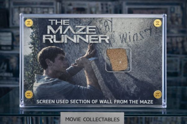 Screen Used Maze Wall Fragment – Maze Runner Movie Prop Display + COA | eBay Europe (Buy It Now)