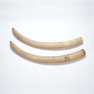 Legends of the Fall, 1994 | Waddington’s