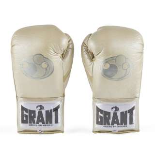 Michael B. Jordan Donnie Gloves from Creed III | Studio Auctions