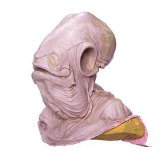 STAR WARS: RETURN OF THE JEDI (1983) - Lot #383 : Admiral Ackbar (Tim Rose) Silicone Head Casting from Original Molds