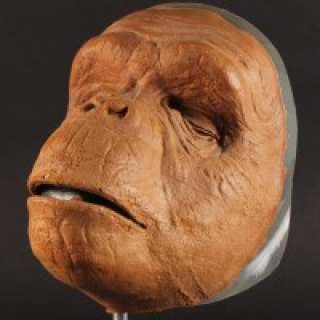 2001: A Space Odyssey - Ape mask