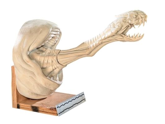 Evolution (Phil Thippet 2001) - Cutie Pie Monster Maquette - Lot A | Hanlin Auction Service