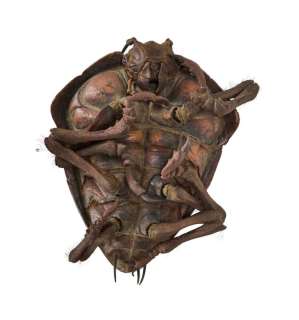 Starship Troopers | Full-Size Arkellian Sand Beetle Prop | Julien’s