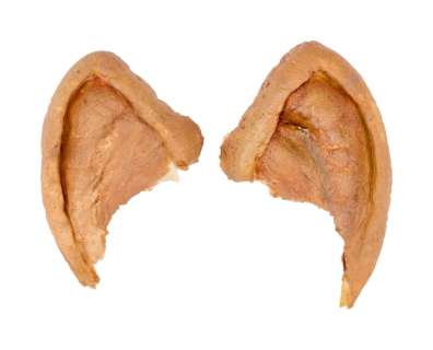 Lot 80 - Star Trek: The Next Generation | Mark Lenard "Sarek" Vulcan Ear Applications