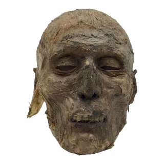 The Great Peter’s Mom’s Mummy’s Skull | VIP Fan Auctions