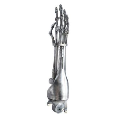 TERMINATOR: THE SARAH CONNOR CHRONICLES (T.V. SERIES, 2008-2009) - Lot #397 : Screen-Matched T-888 Terminator Endoskeleton Arm