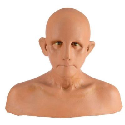STAR TREK: DEEP SPACE NINE (T.V. SERIES, 1993-1999) - Lot #1167 : Production-Made Constable Odo (Rene Auberjonois) Bust