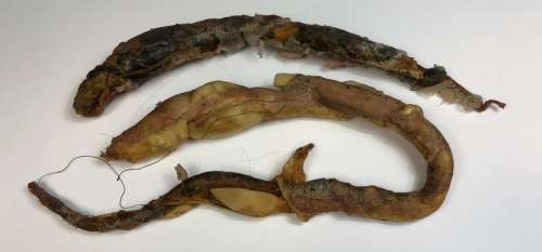 Lot 235 - Slither (2006) - Set of 2 Appliances