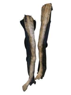 Hell Fest Zombie Legs Movie Props | Premiere Props