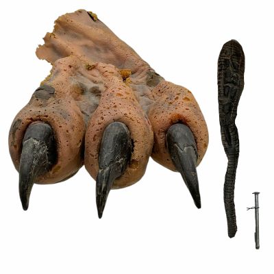 Lot 245: Hellraiser III & IV Screen Used Hellraiser 3 Pinhead Creature & Hellraiser 4 Exploded Hellhound Foot | VIP Fan Auctions