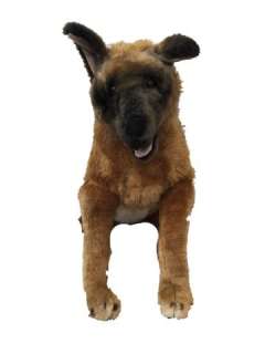The Dog Stuffed German Shepard dog Movie Props | Premiere Props