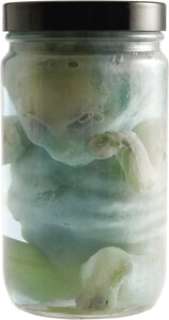 "X-Files" Alien Baby in Jar. By its third season, "The X-Files" had grown from a cult hit to a global phenomenon, becoming t...