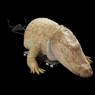 Annihilation | Half Body Puppet Albino Alligator | Propstore